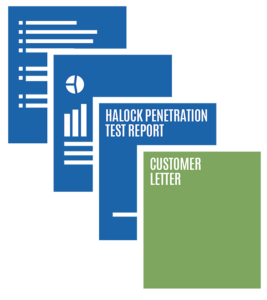 HALOCK Penetration Testing Report Deliverable HALOCK Penetration Testing Report Deliverable