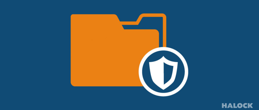 Orange File Integrity Shield reasonable security