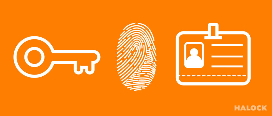 Orange Key Fingerprint Id Cyber Security reasonable security