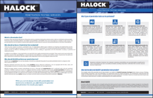Penetration Testing Services HALOCK Reasonable Security cybersecurity penetration testing services