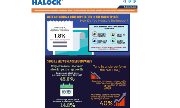 HALOCK Infographic Data Breach Cybersecurity Vulnerability Risk