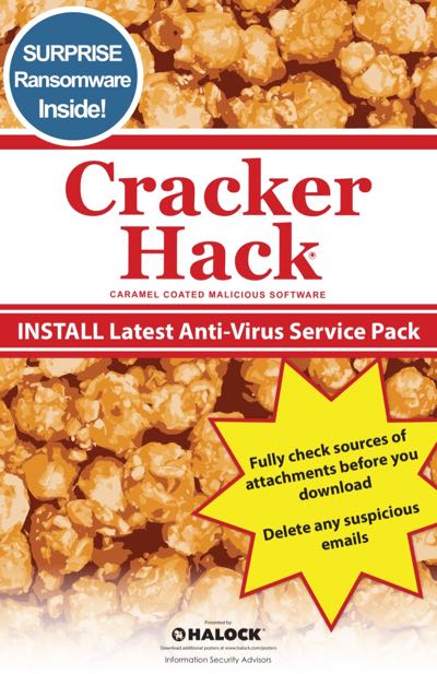 HALOCK Reasonable Security Cracker Hack information security risk Chicago