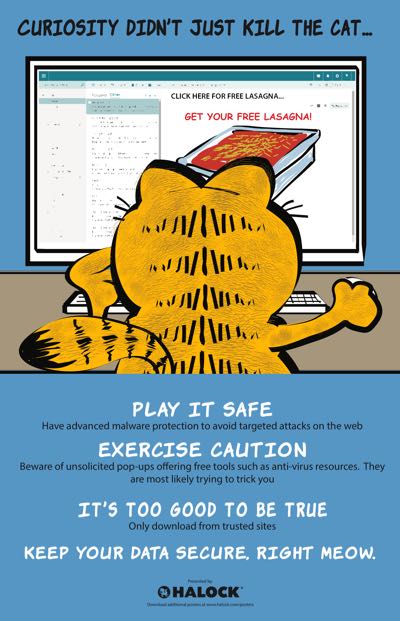 Cartoon Cat Security Awareness Poster