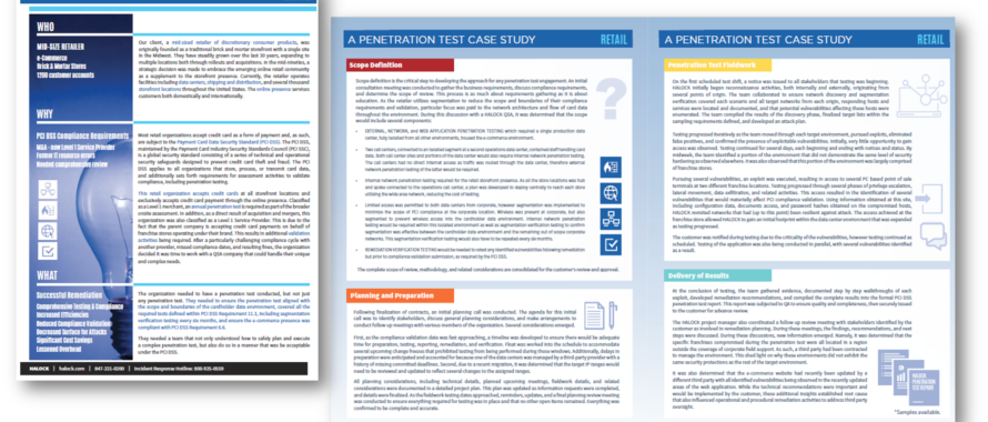 cyber security case study Penetration Testing