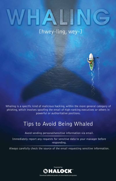 HALOCK Security Awareness Whaling information security risk poster Chicago Schaumburg