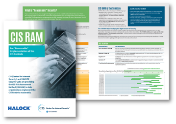 Reasonable Security CIS RAM Risk Assessment Brochure HALOCK Chicago