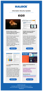 HALOCK Newsletter Vulnerability Risk