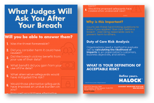 HALOCK Reasonable Multi-factor Balance Test Infographic Data Breach Cybersecurity Chicago Schaumburg