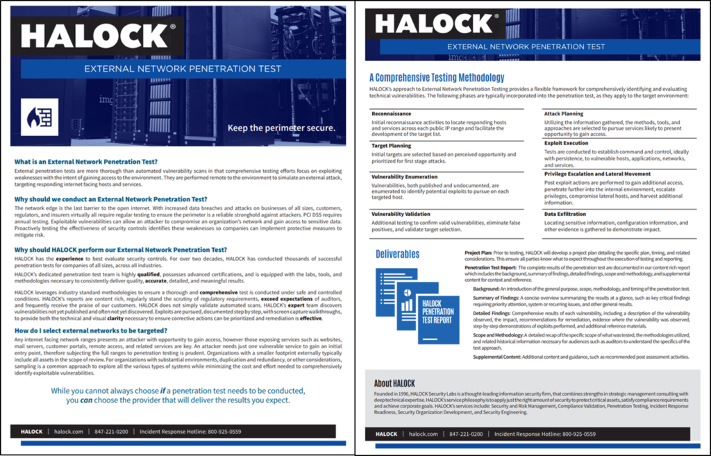 Network Penetration Testing Brochure