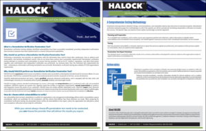HALOCK Remediation Verification Penetration Test