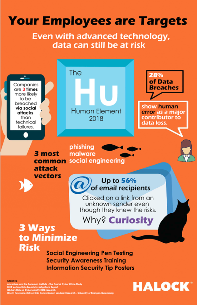 Cyber Security Awareness Risk
