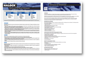 HALOCK Penetration Testing Services Company Penetration Testing Methodology