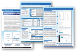 Penetration Testing Report Summary Documentation Penetration Test Services Results