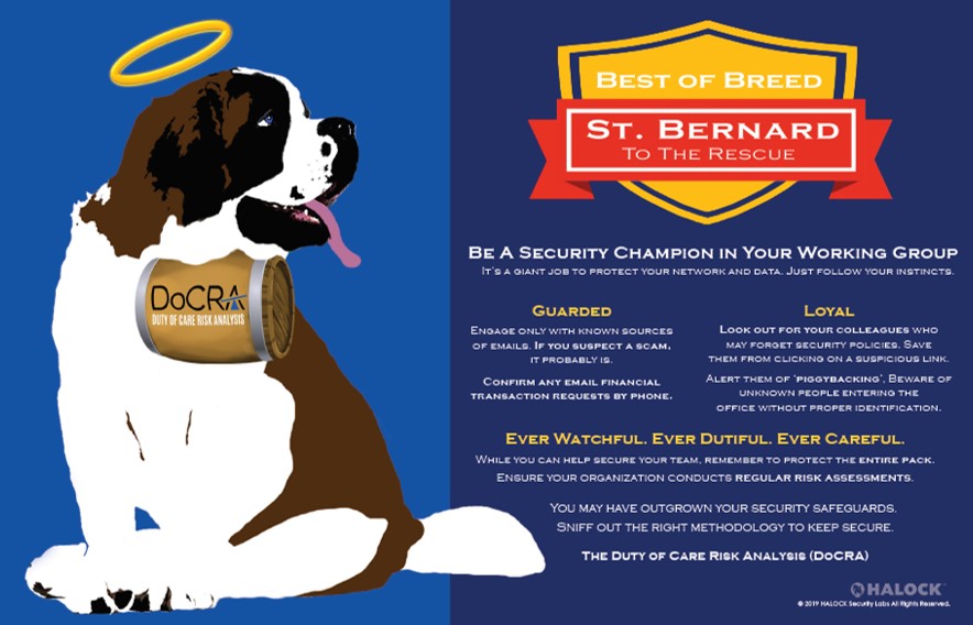Reasonable Cyber Security Awareness St Bernard Dog