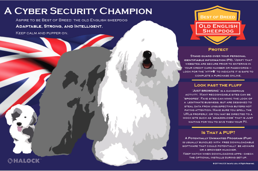 HALOCK Sheepdog Poster Reasonable Security Awareness