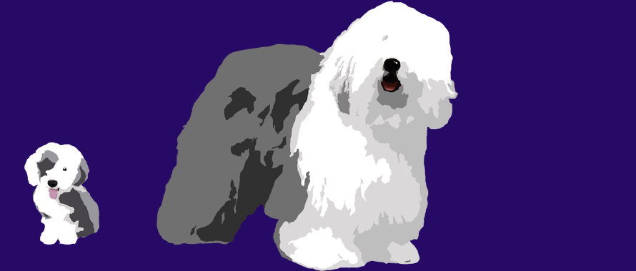 Sheepdog CYBER Security Awareness Dog