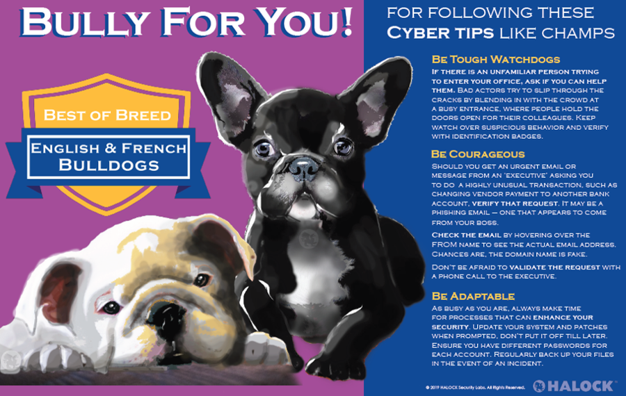 French English Bulldogs Cyber Security Awareness Champion Breed