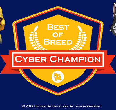 Cyber Security Awareness Best of Breed Cyber Champion Reasonable Security Acceptable Risk HALOCK Duty of Care DoCRA