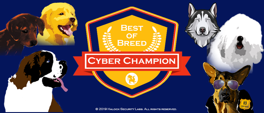 Cyber Security Awareness Best of Breed Cyber Champion Reasonable Security Acceptable Risk HALOCK Duty of Care DoCRA