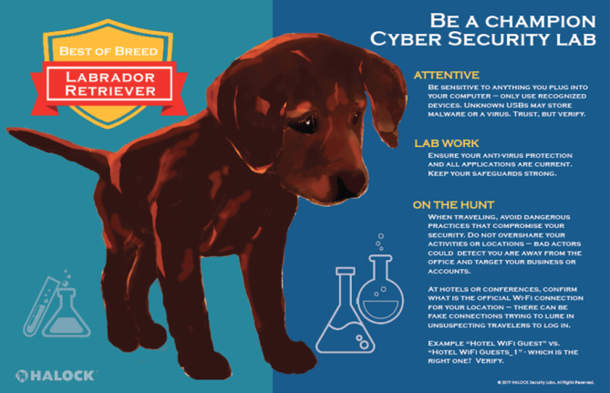 Cyber Security Awareness Poster Labrador Retriever - HALOCK