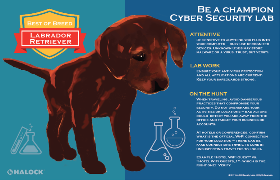 Security Lab Dog