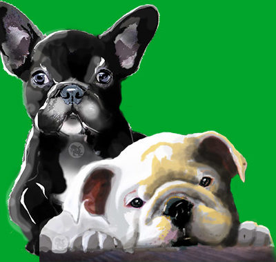 HALOCK Bulldogs Banner Best of Breed Reasonable Security