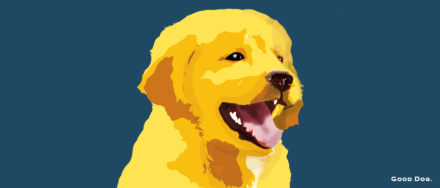 Cyber Security Awareness Golden Retriever Dog