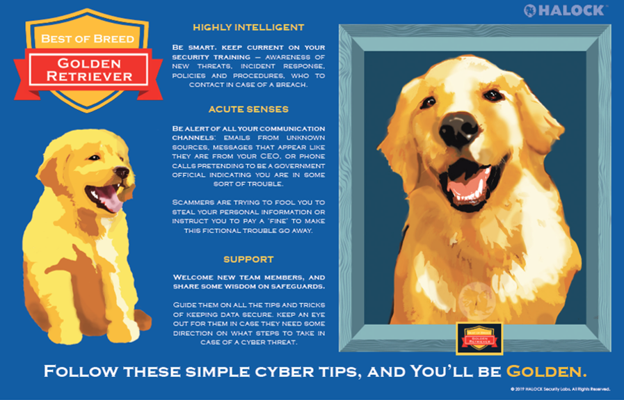 HALOCK Security Awareness Golden Retriever Best of Breed Reasonable Security Acceptable Risk HALOCK Duty of Care DoCRA