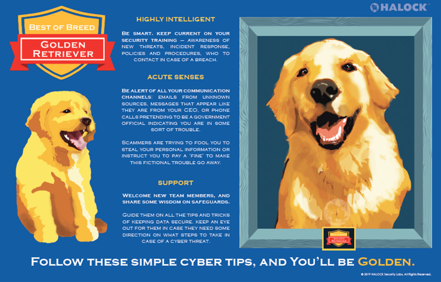 Security Awareness Golden Retriever