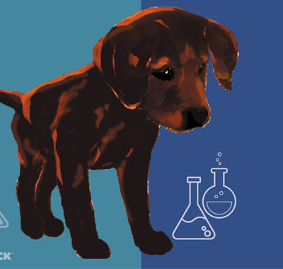 HALOCK Security Lab banner