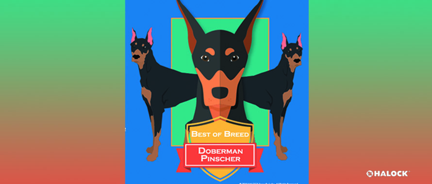 Reasonable Cyber Security Awareness Best of Breed Doberman Blue