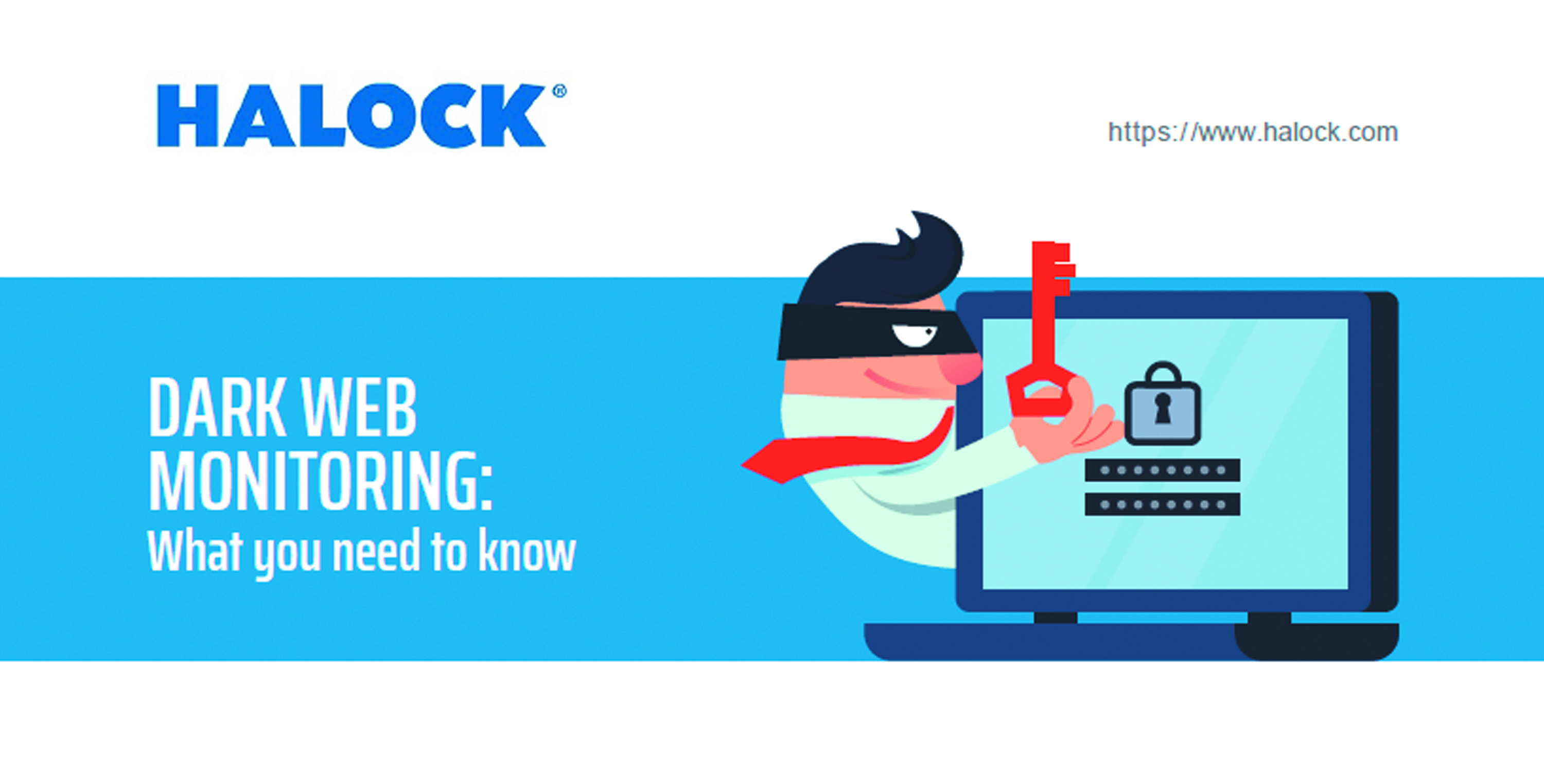 Dark Web Drug Marketplace