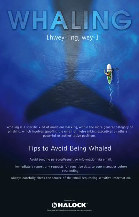 Whaling Cyber Risk