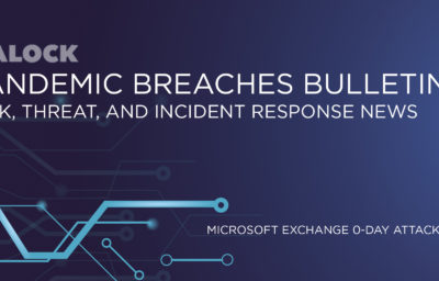 Microsoft Exchange 0-day attacks HALOCK Reasonable Security Risk