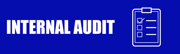 IT Internal Audit