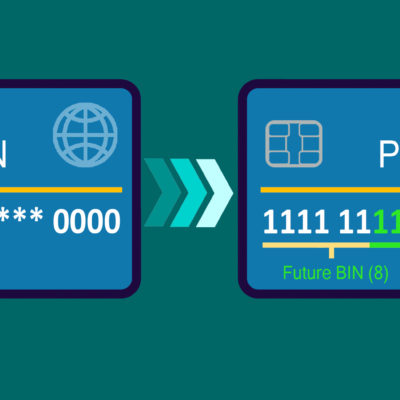 BIN PCI DSS Risk