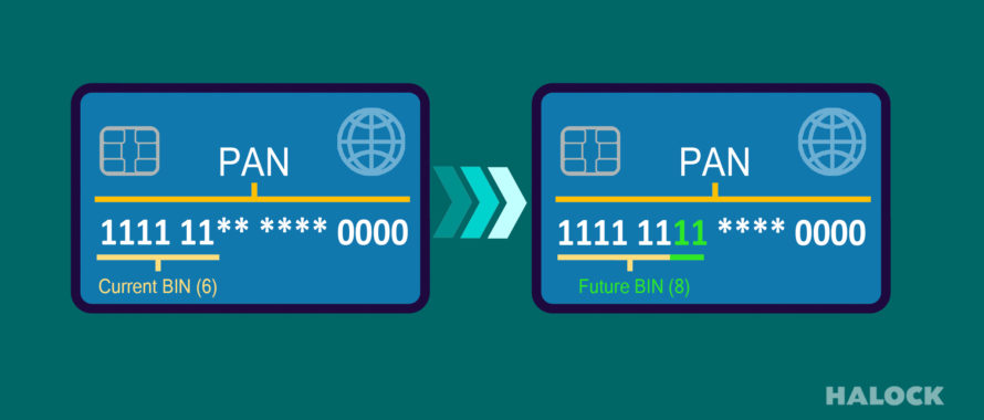 BIN PCI DSS Risk