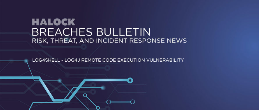 Log4Shell Log4j Vulnerability