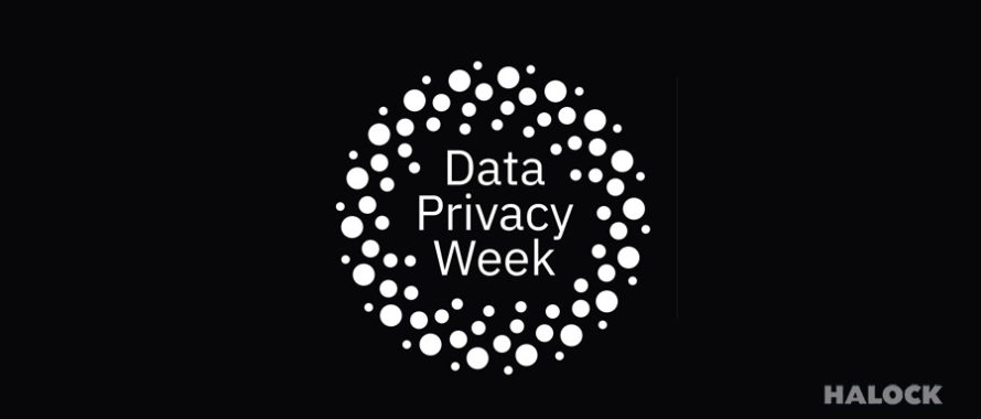 Data Privacy Risk HALOCK