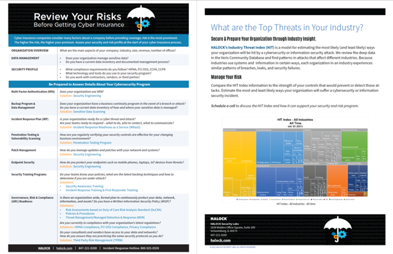 Cyber Insurance Risk