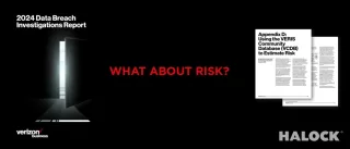 Verizon DBIR VCDB Risk