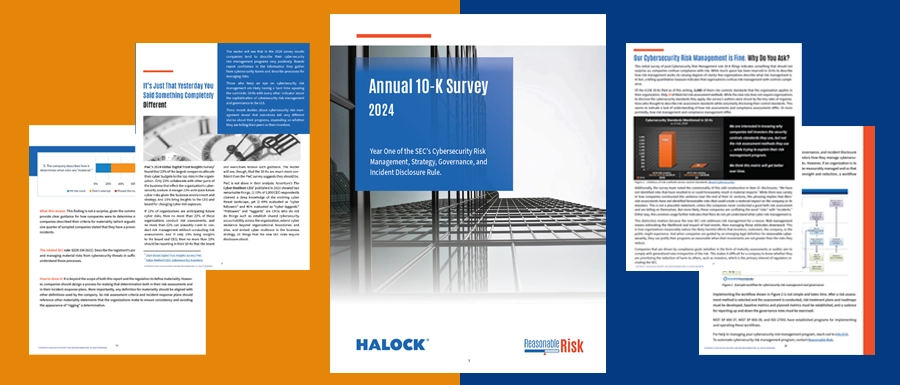10-K Survey Cybersecurity Rule