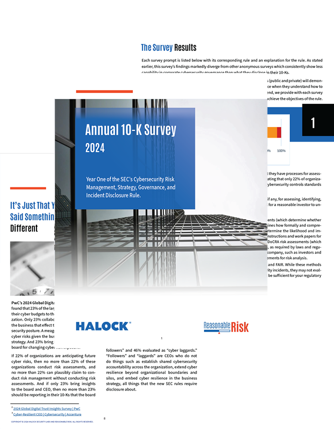 10-K Survey Cybersecurity Risk