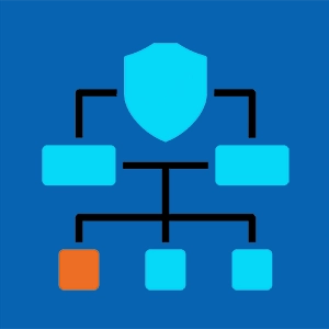 Network