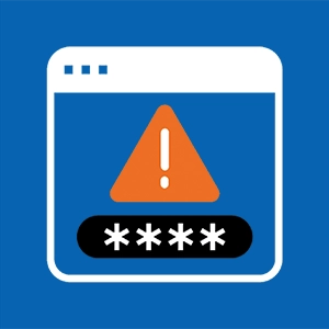 Network Privilege Access