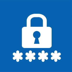 Password Security Testing