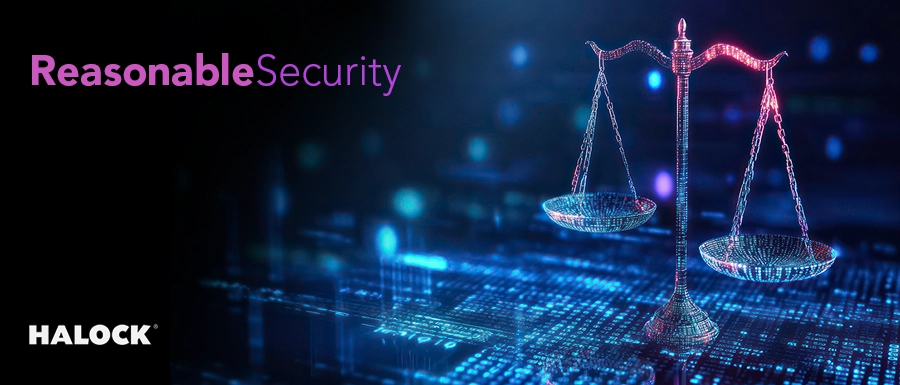 Reasonable appropriate security risk