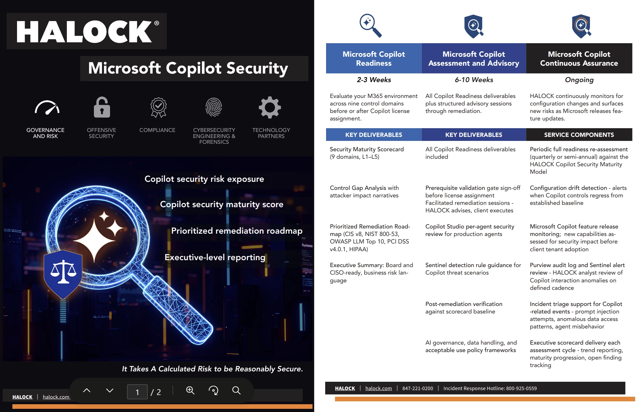 Microsoft CoPilot Security CoPilot Risk