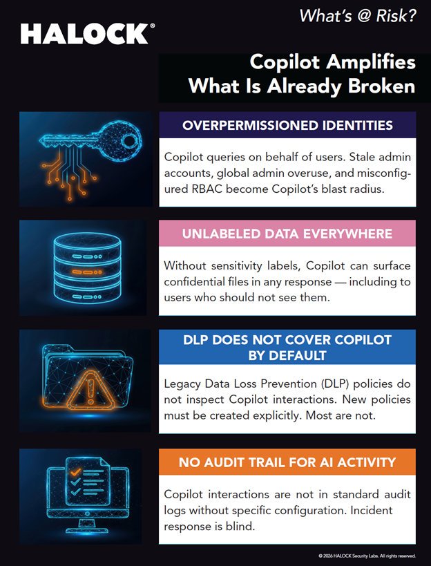 AI Risk Copilot