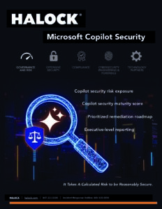Microsoft Copilot Security Services HALOCK Brochure AI Risk Image